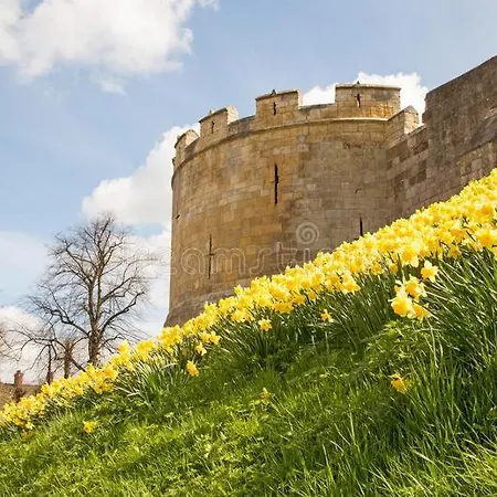 Oak Boutique Includes Hot Tub Air Con & Dog Dom wakacyjny *