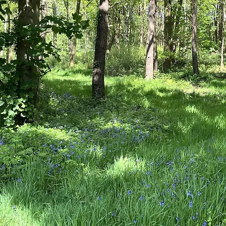 Oak Boutique Includes Hot Tub Air Con & Dog