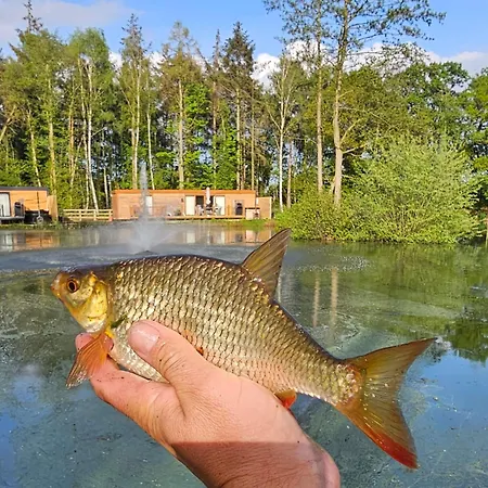 Oak Boutique Includes Hot Tub Air Con & Dog Γιορκ