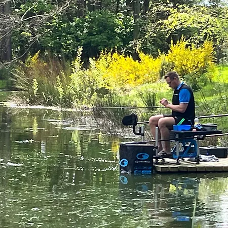 Oak Boutique Includes Hot Tub Air Con & Dog Σπίτι διακοπών *