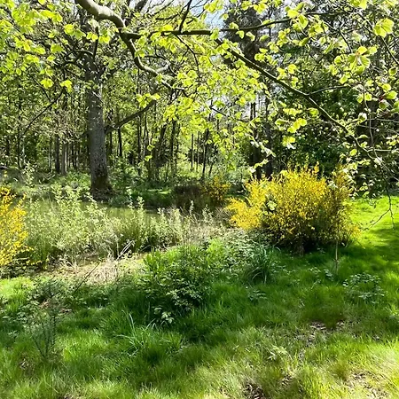 Oak Boutique Includes Hot Tub Air Con & Dog Vakantiehuis *