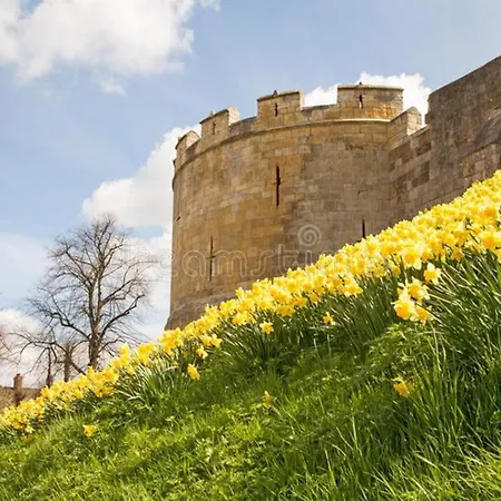 Oak Boutique Includes Hot Tub Air Con&dog *